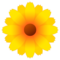 Blossom emoji on Emojidex